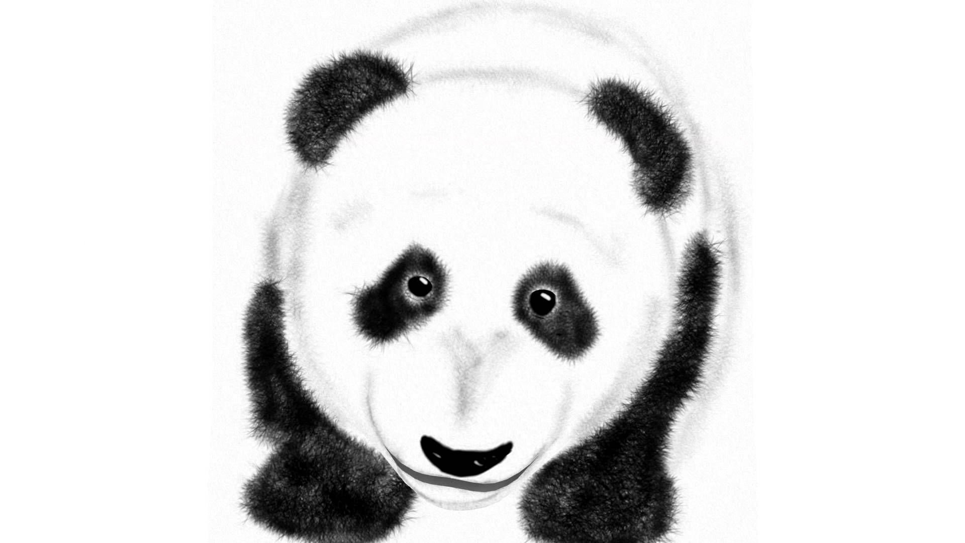panda, Pandas, Baer, Bears, Baby, Cute,  11 Wallpaper