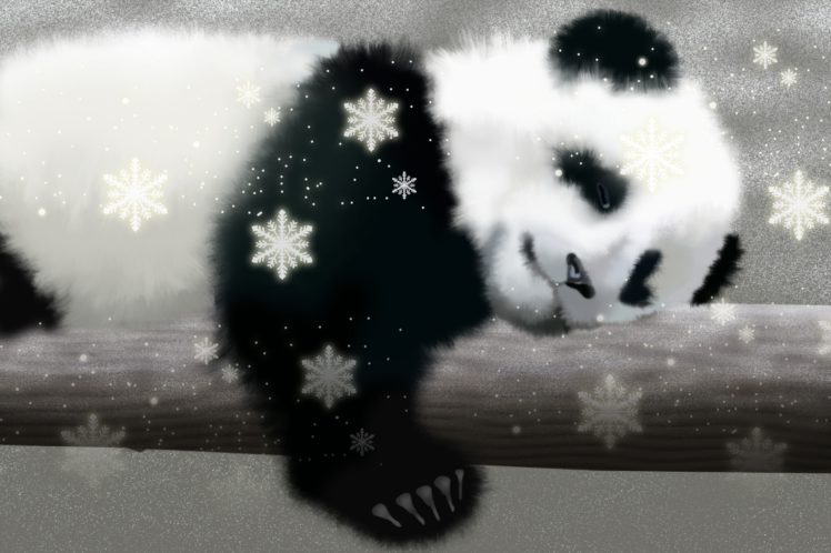 panda, Pandas, Baer, Bears, Baby, Cute,  62 HD Wallpaper Desktop Background