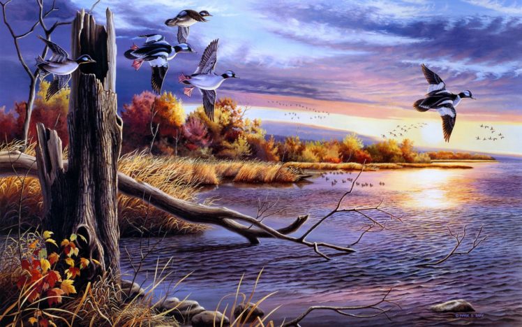 birds, Art HD Wallpaper Desktop Background