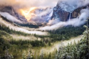 fog, Landscape, Forest, Mountains, Nature