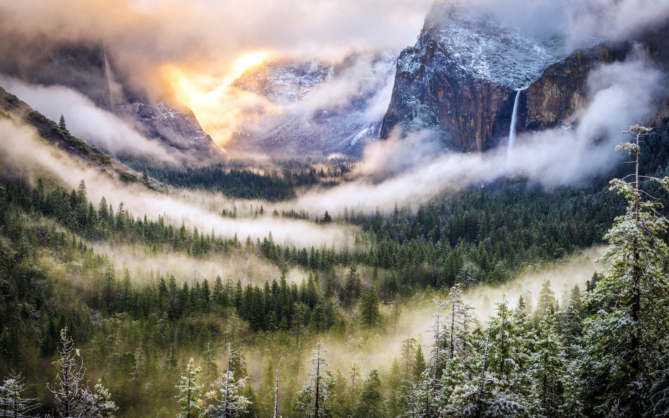 fog, Landscape, Forest, Mountains, Nature Wallpaper