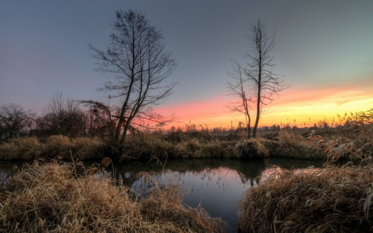 dawn, Morning, Trees, Reeds, Lake HD Wallpaper Desktop Background