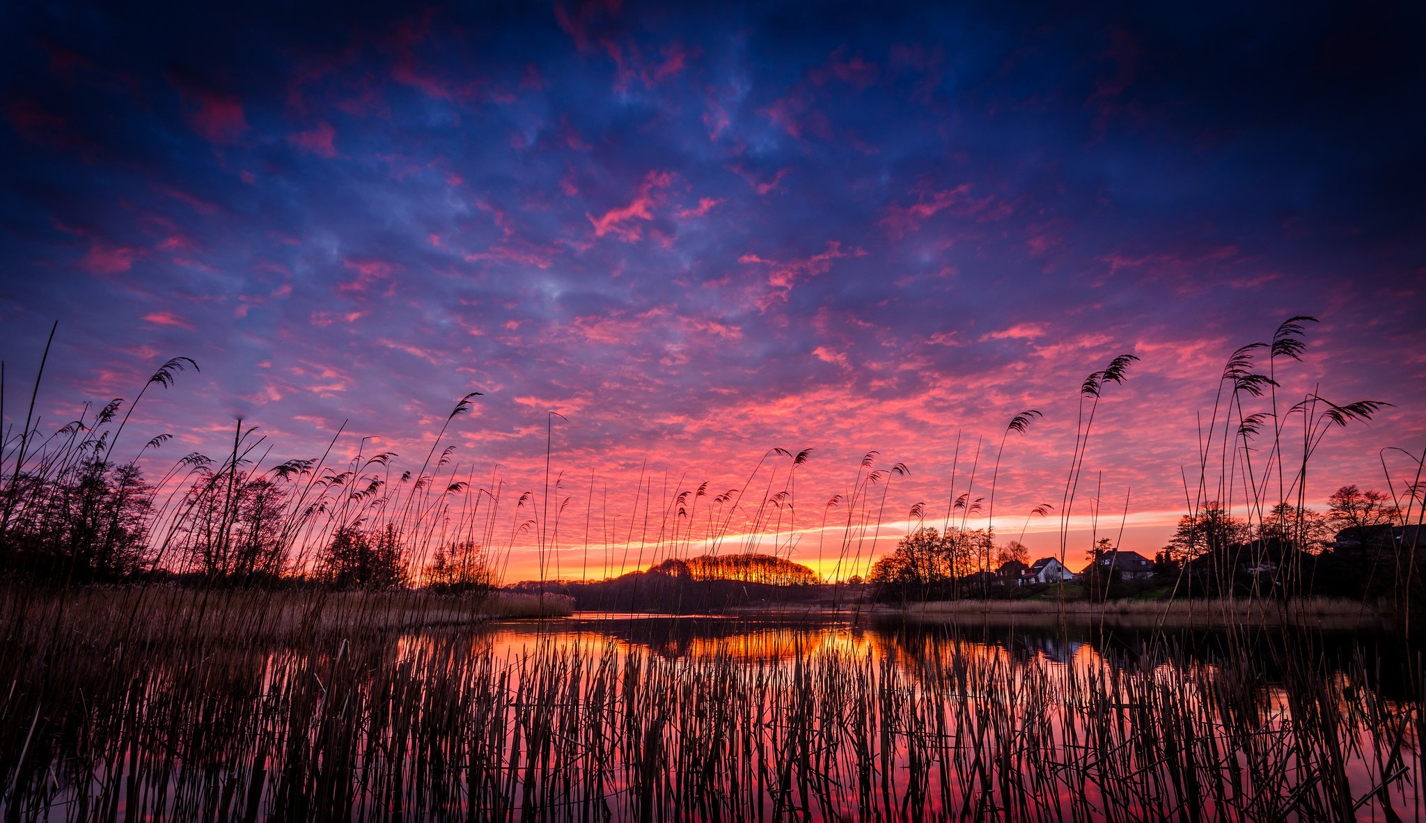 lake, Beach, Village, Grass, Evening Wallpaper
