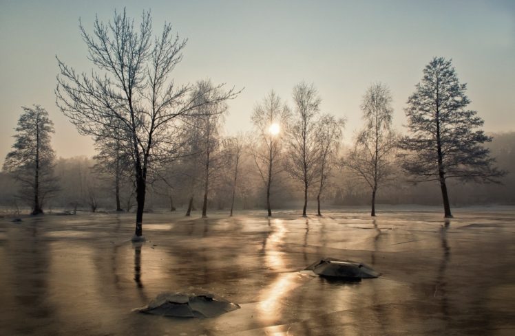 sun, Frost, Ice, Trees, Winter HD Wallpaper Desktop Background