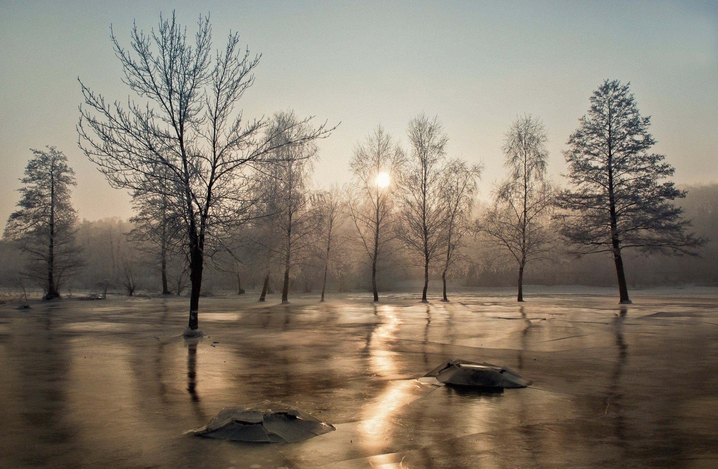 sun, Frost, Ice, Trees, Winter Wallpaper