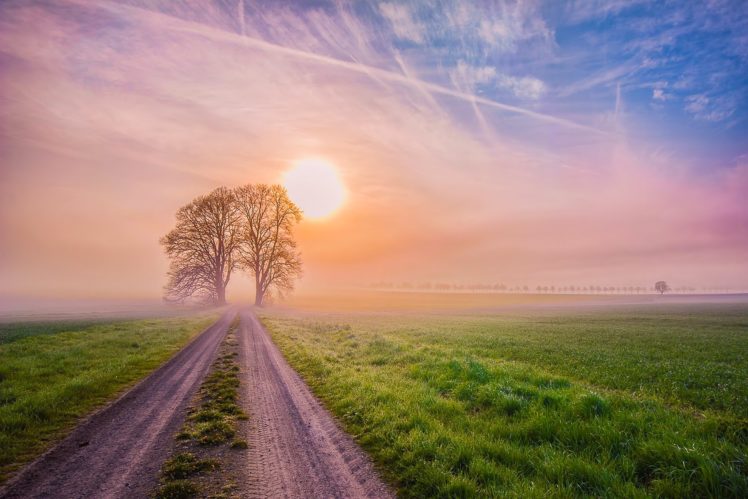 landscape, Nature, Morning, Dawn, Sun, Road, Trees, Field, Fog HD Wallpaper Desktop Background