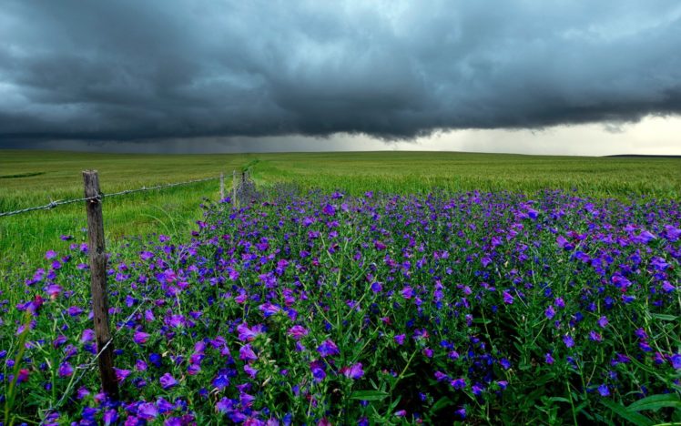 flowers, Landscape, Clouds, Field, Fence HD Wallpaper Desktop Background