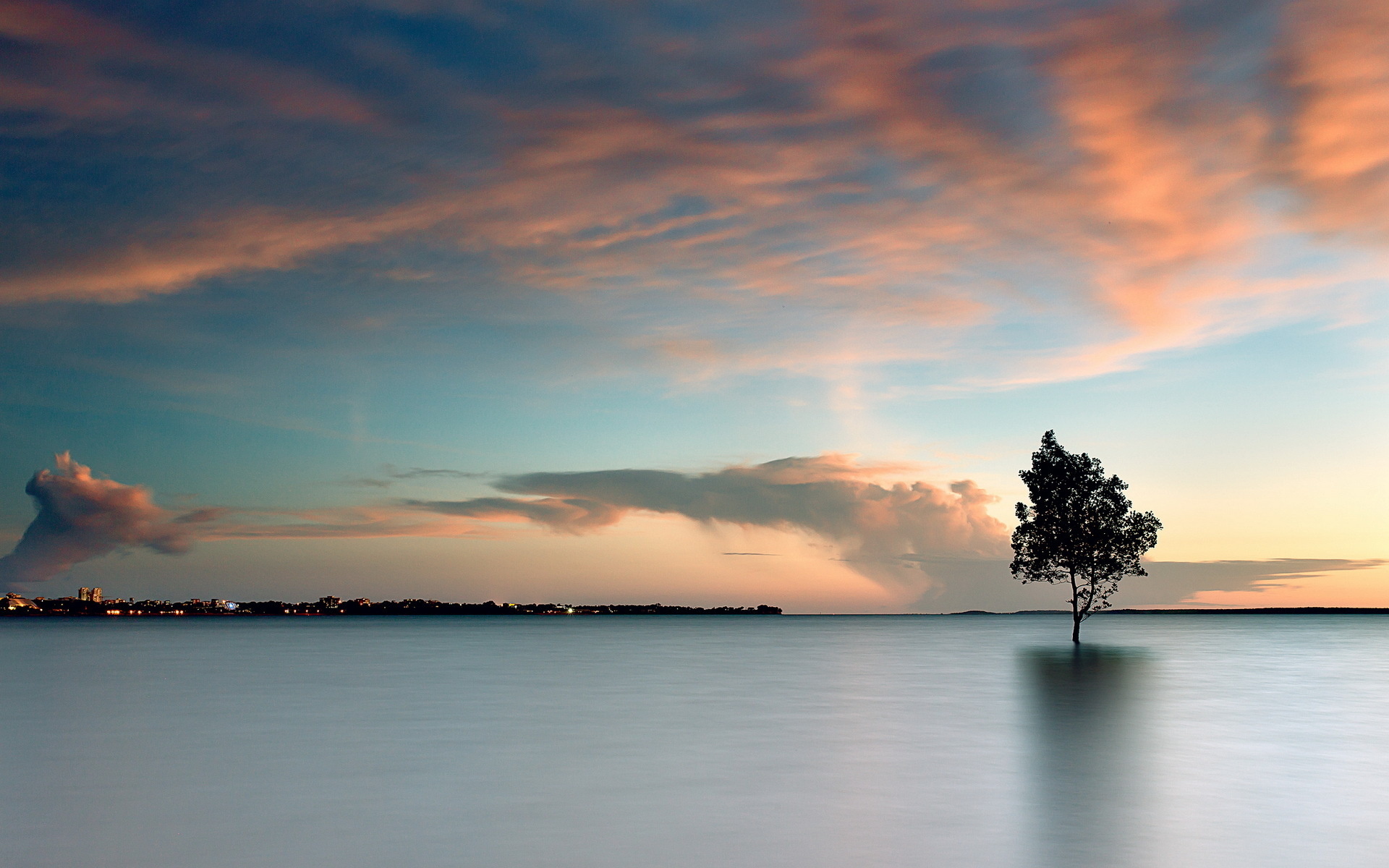 36667 Wallpaper