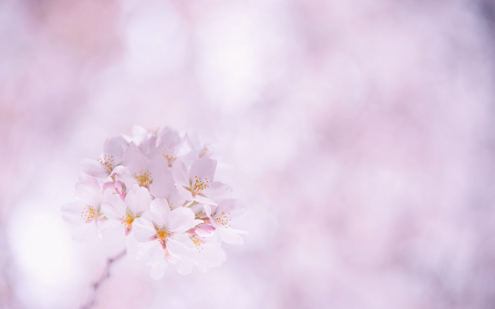 36701 Wallpaper