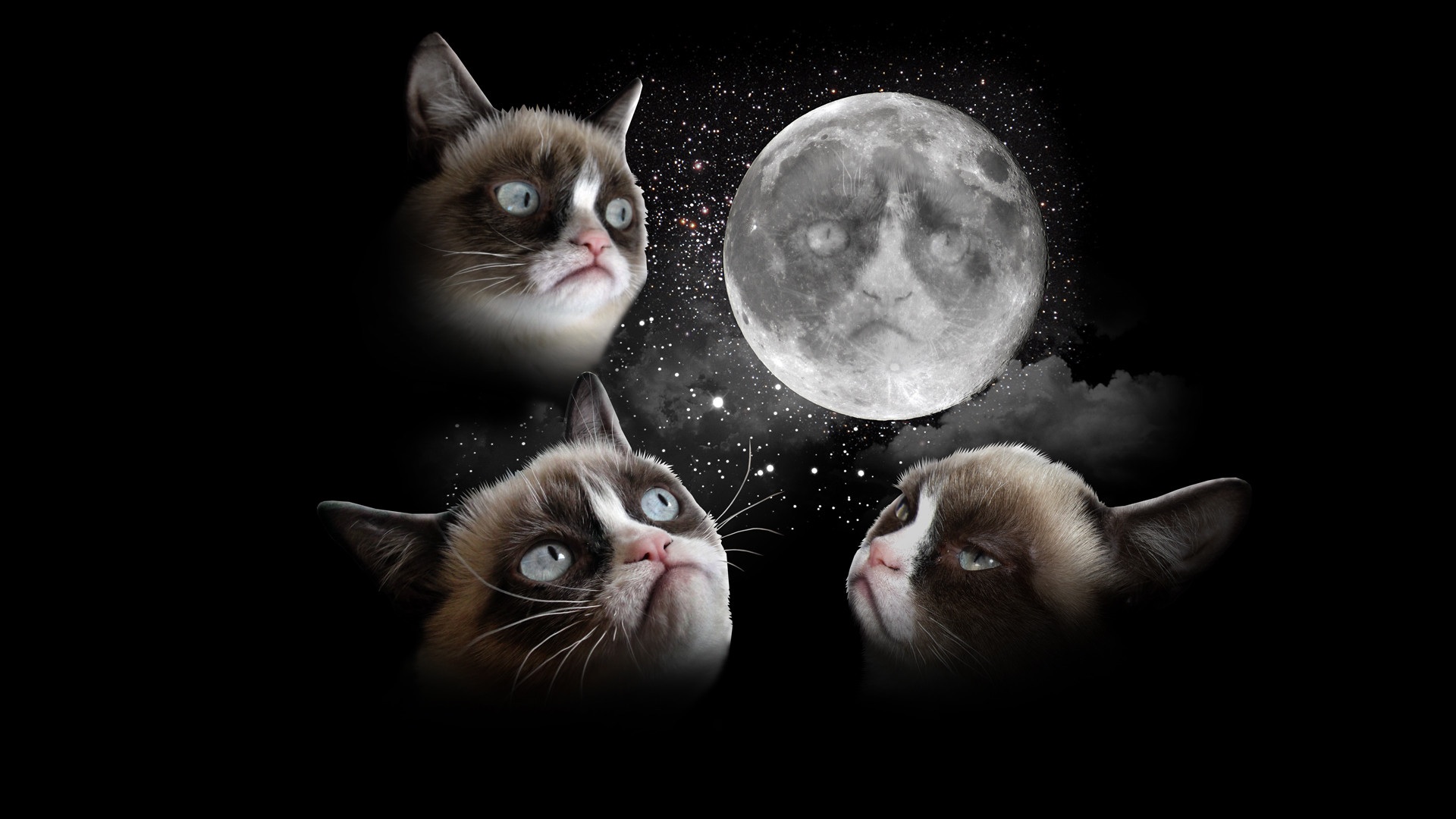 36778 Wallpaper