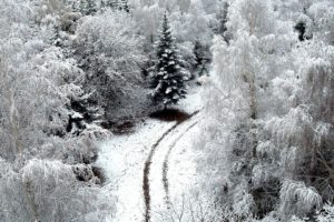 winter, Road