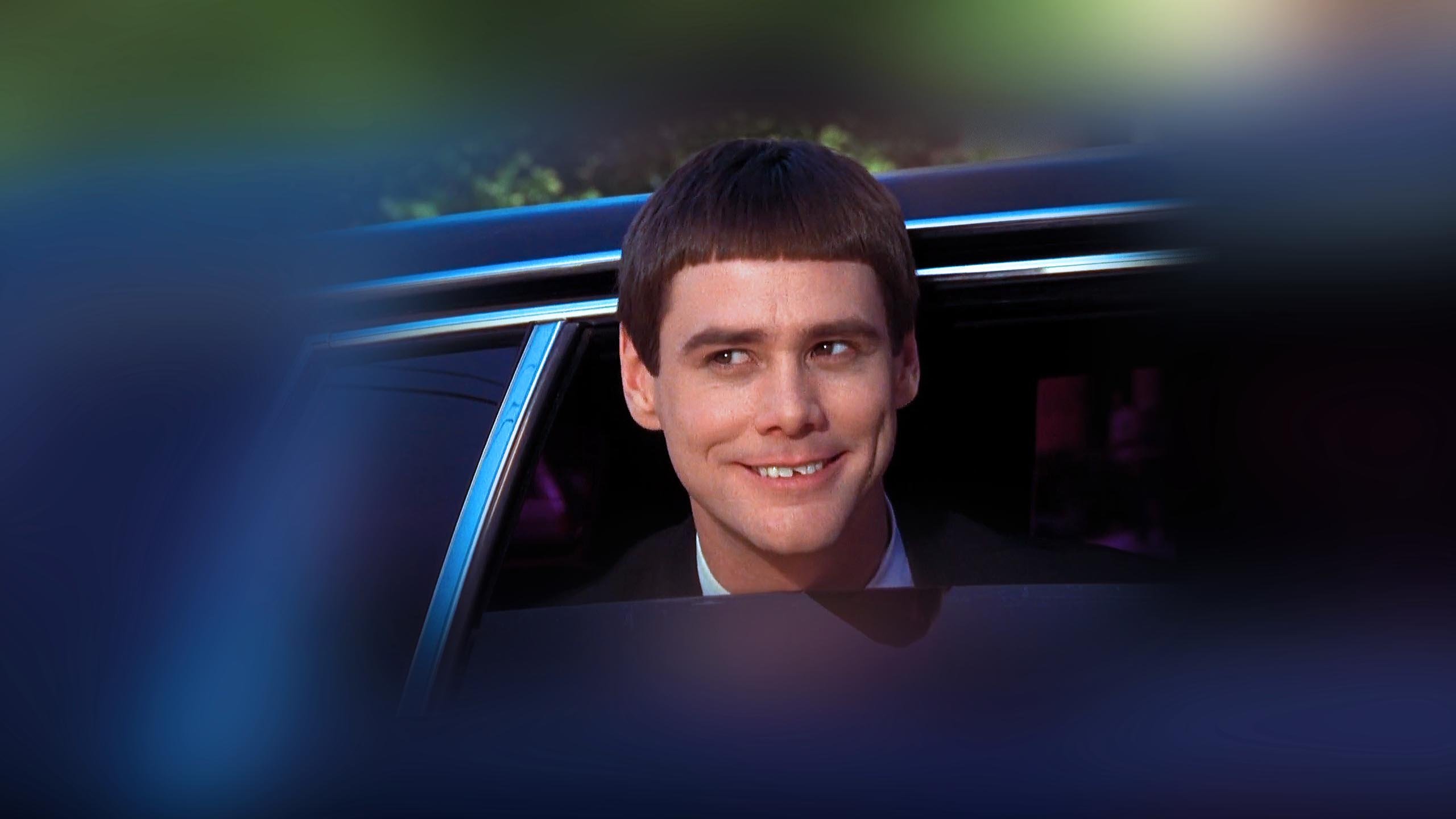 dumb, And, Dumber, Comedy, Family, Humor, Funny, 24 Wallpapers HD