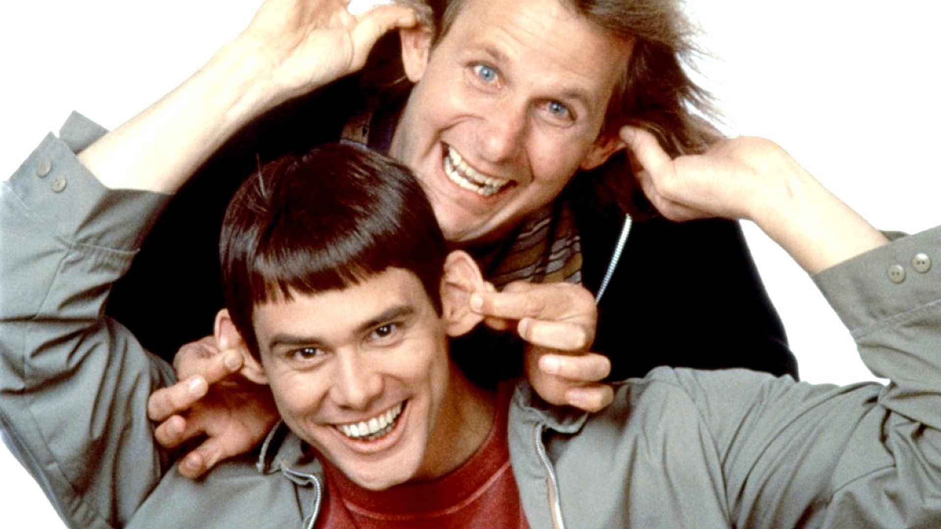 dumb, And, Dumber, Comedy, Family, Humor, Funny, 43 Wallpapers HD