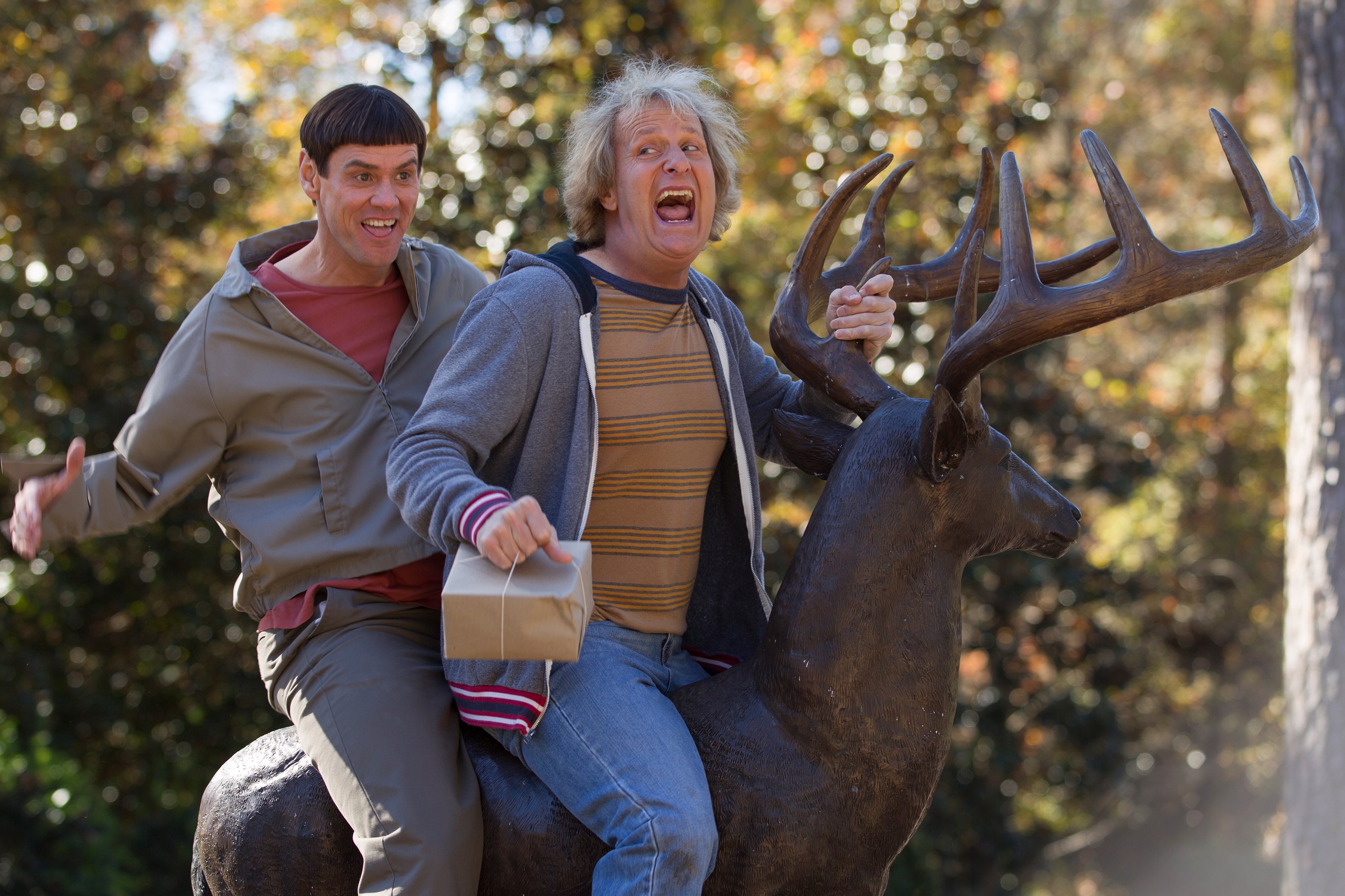 dumb, And, Dumber, Comedy, Family, Humor, Funny,  60 Wallpaper