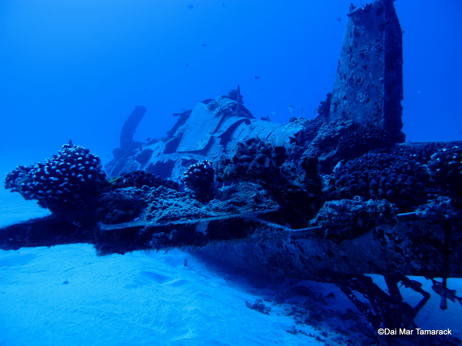 wreck, Of, The, Corsair, Oahu Wallpaper