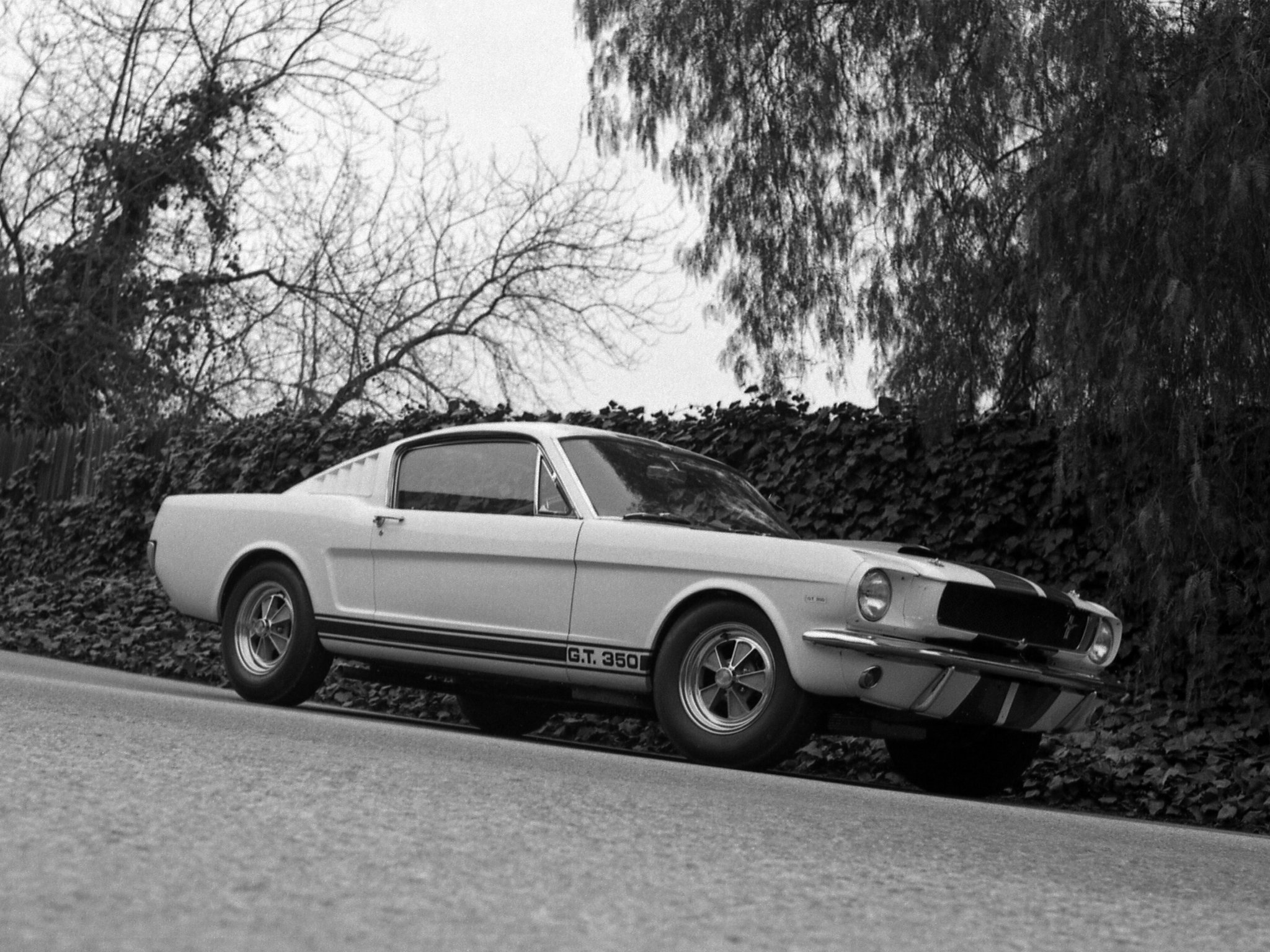 1965, Shelby, Gt350, 5s003, Prototype, Ford, Mustang, Classic, Muscle Wallpaper
