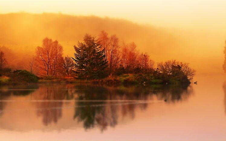 sunrise, Trees HD Wallpaper Desktop Background
