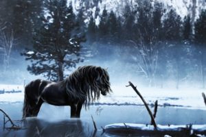 horses, Fantasy, Art, Winter