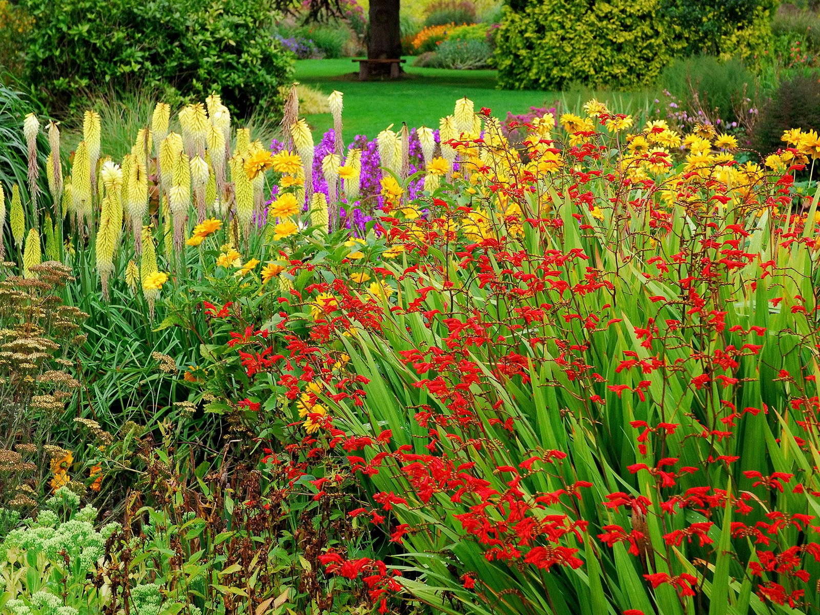 garden Wallpaper