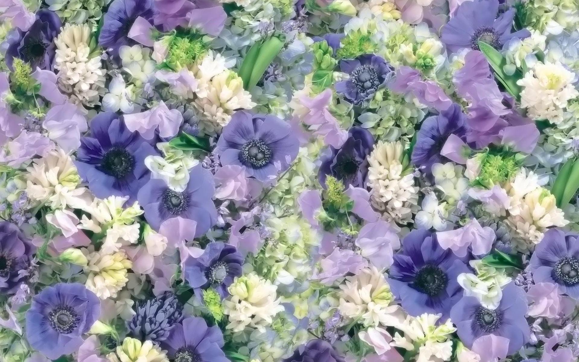 37177 Wallpaper