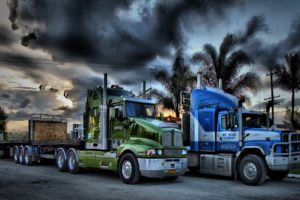 truck, Semis, Sky, Palm, Tree