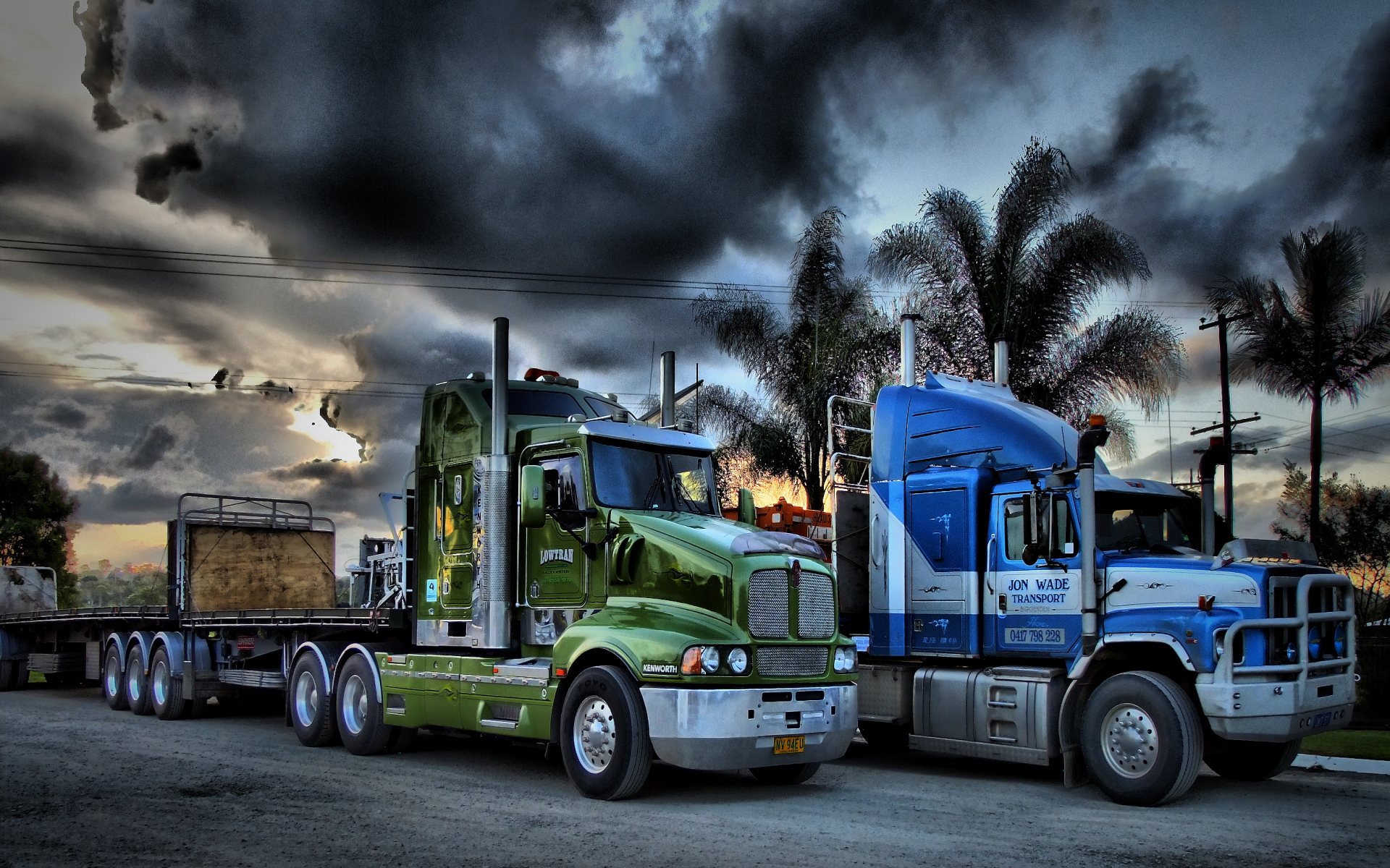 truck, Semis, Sky, Palm, Tree Wallpaper
