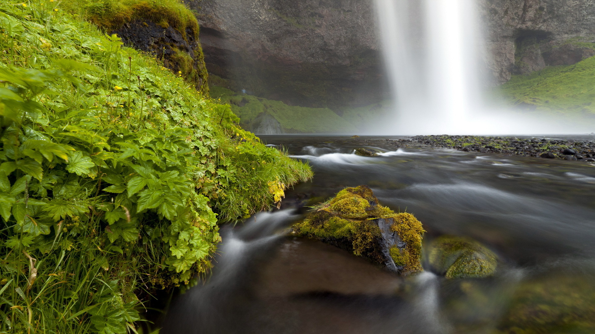 rivers, Moss Wallpapers HD / Desktop and Mobile Backgrounds