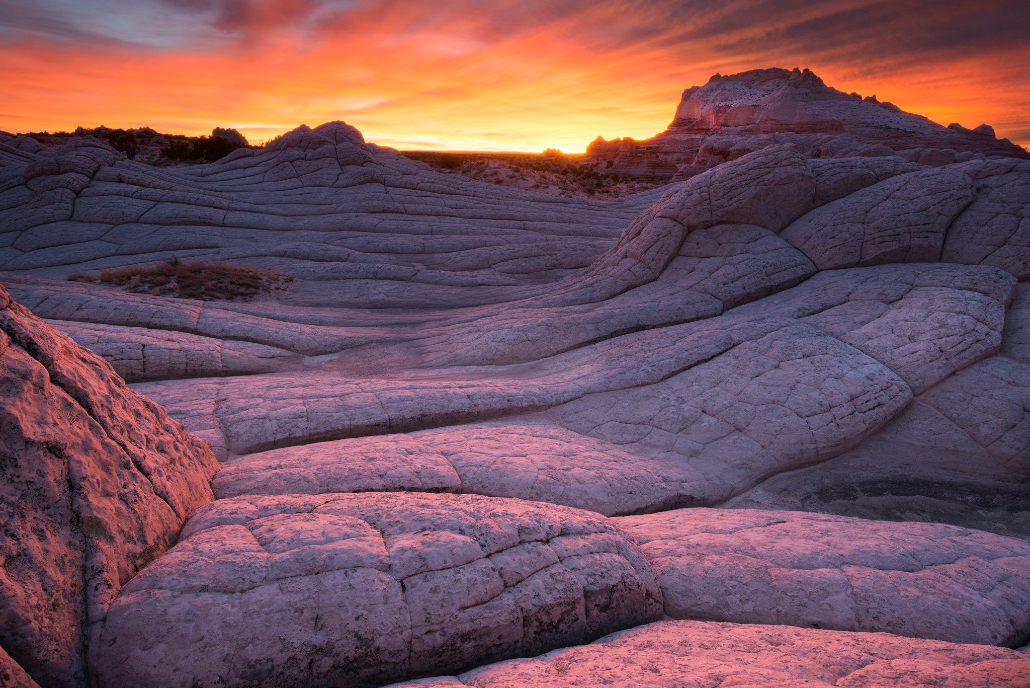 arizona, National, Park, Monument Wallpaper