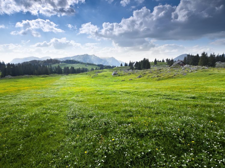 appenzellerland, Switzerland, Field, Sky, Mountains, Landscape HD Wallpaper Desktop Background
