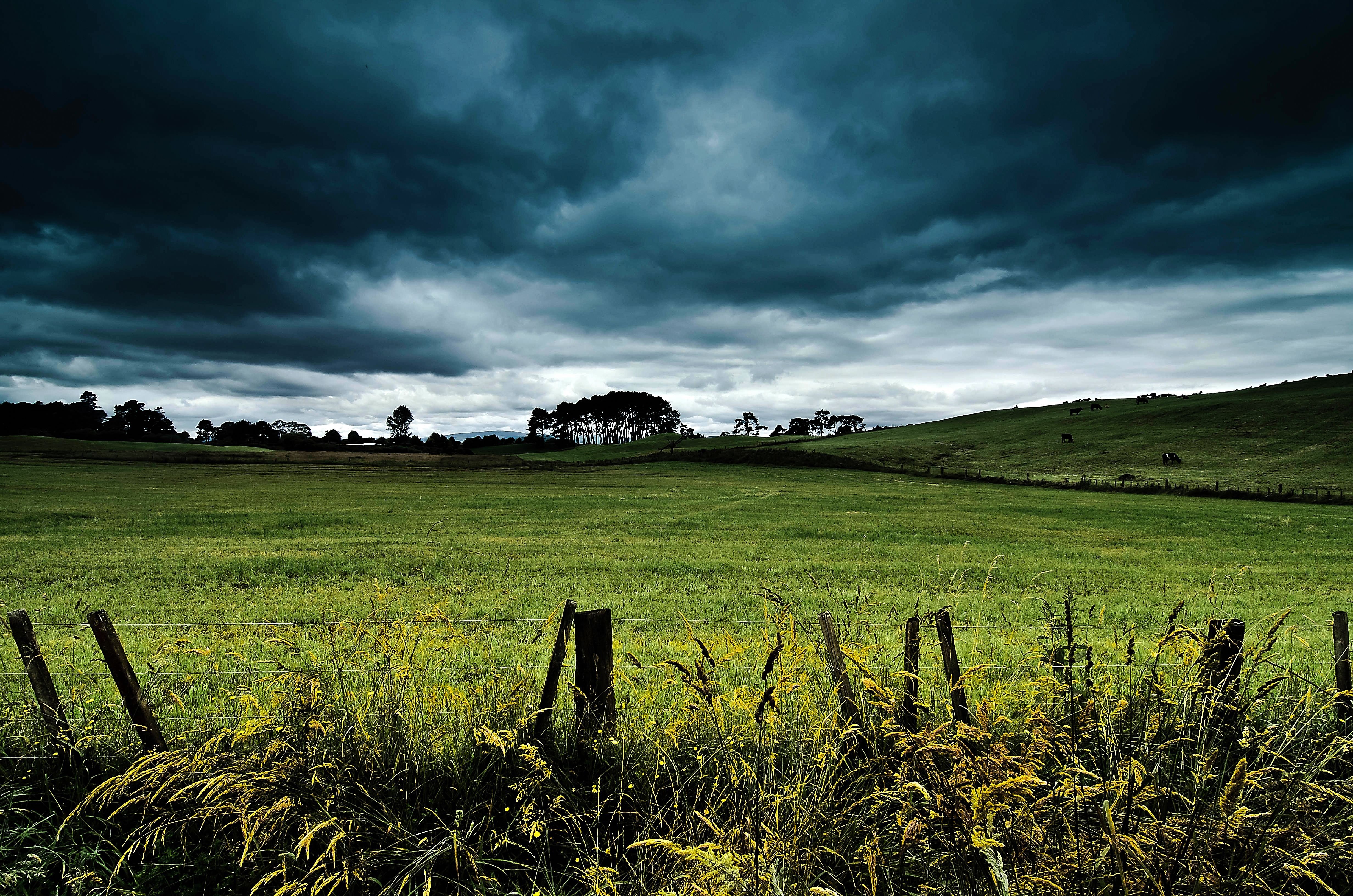 field, Hill, Clouds, Landscape Wallpaper