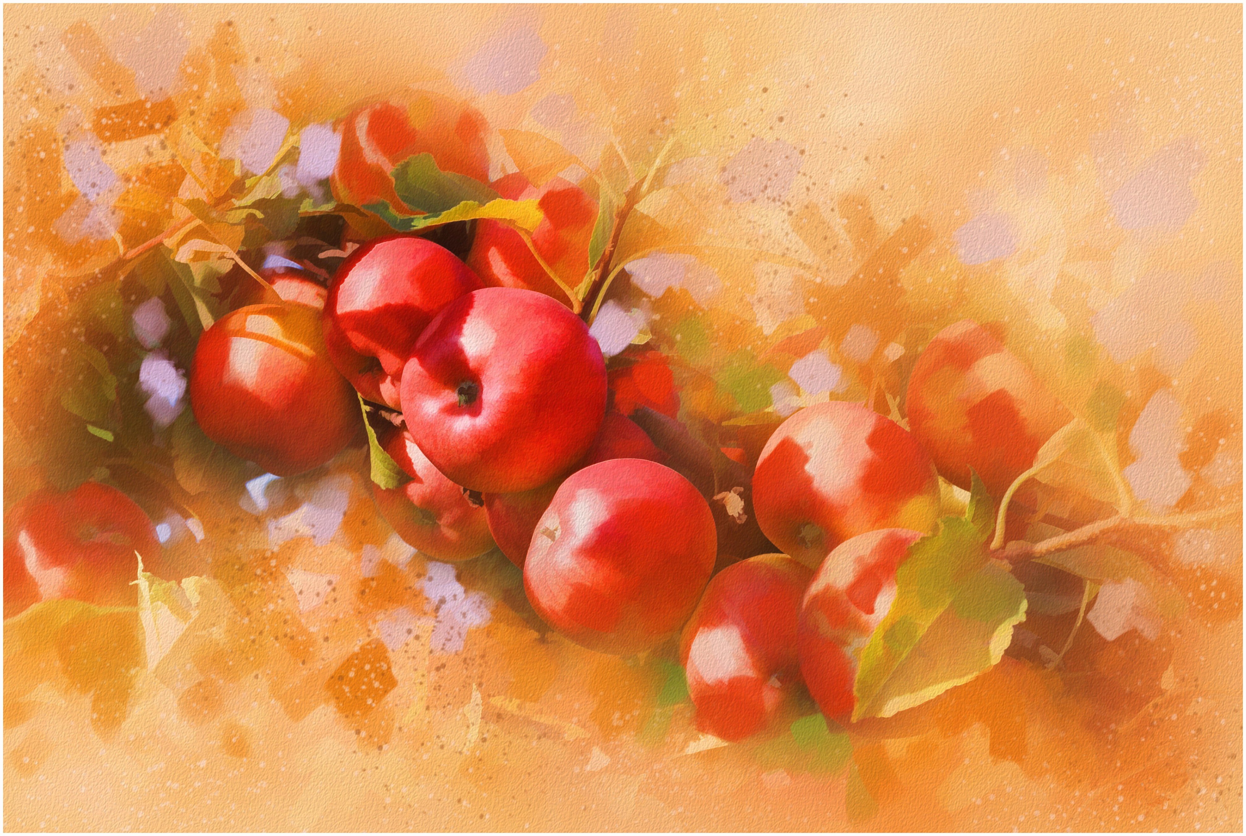 apples, Branch, Leaves Wallpaper