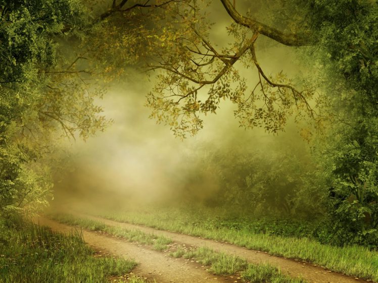 forests, Trail, Fog, Grass, Nature HD Wallpaper Desktop Background