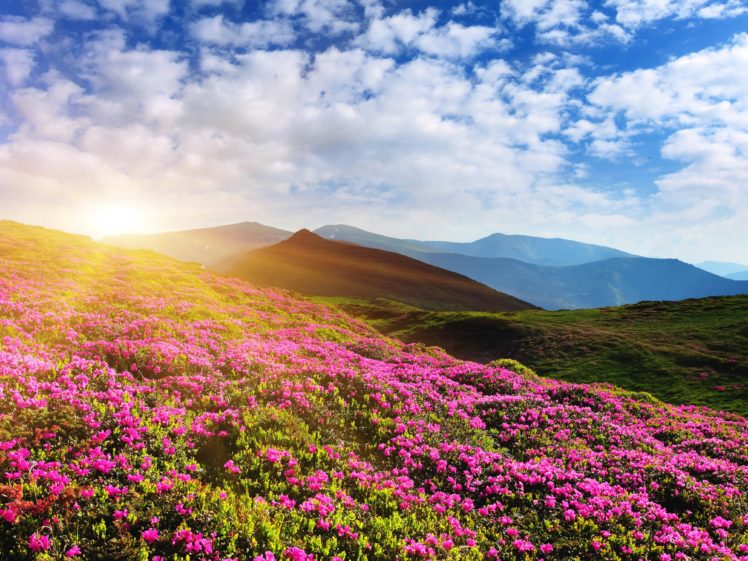 scenery, Sunrises, And, Sunsets, Mountains, Azalea, Sky, Nature HD Wallpaper Desktop Background