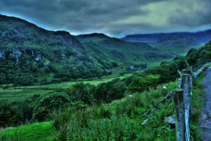 united, Kingdom, Parks, Mountains, Snowdonia, Shrubs, Nature