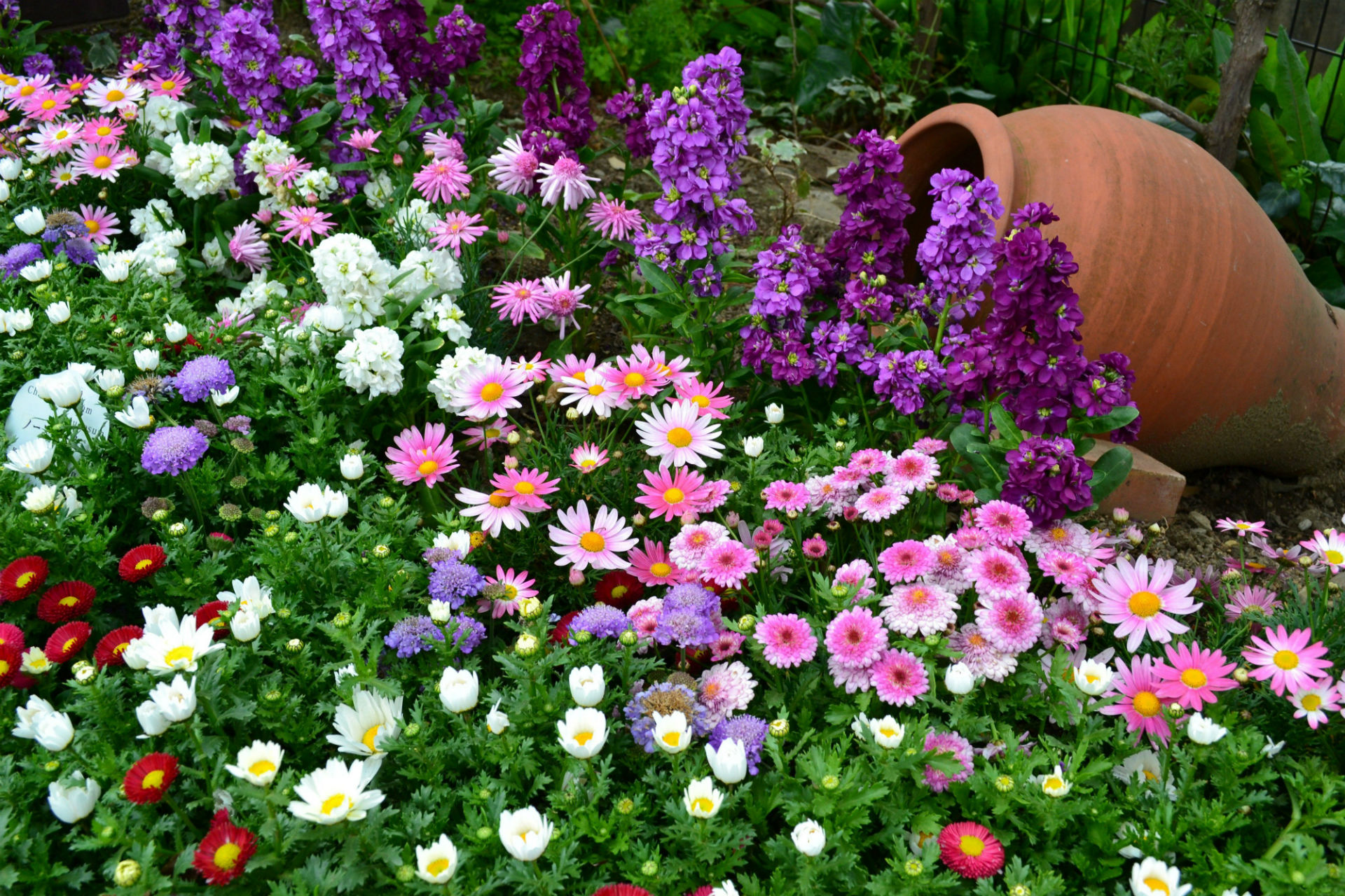 garden Wallpaper