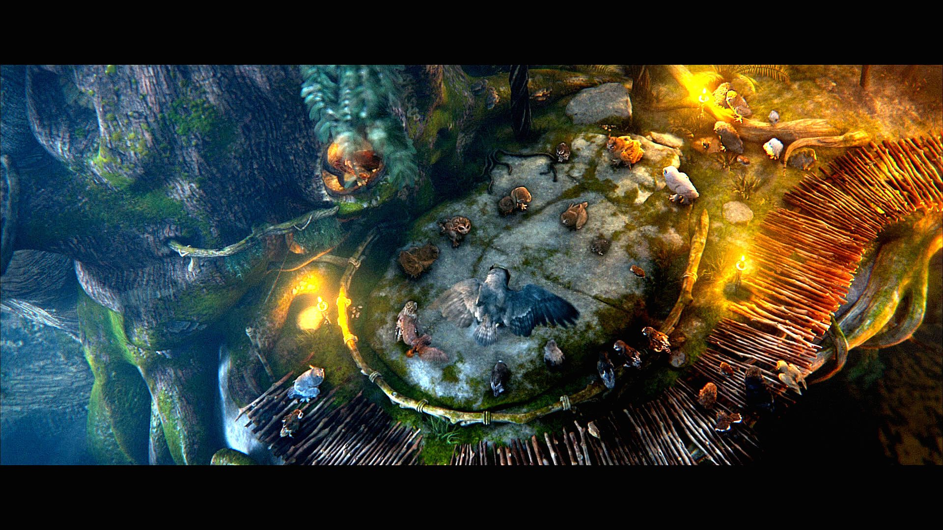 legend, Guardians, Owls, Gahoole, Animation, Fantasy, Adventure, Family, Cartoon, Hoole, Owl,  14 Wallpaper