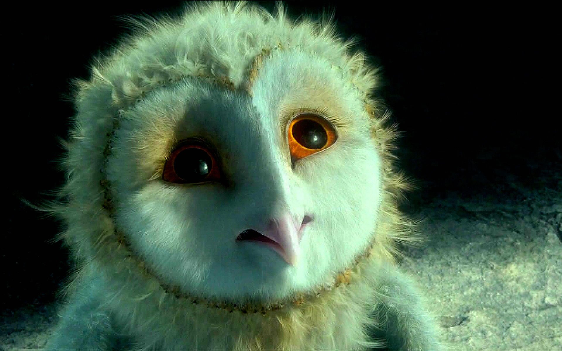legend, Guardians, Owls, Gahoole, Animation, Fantasy