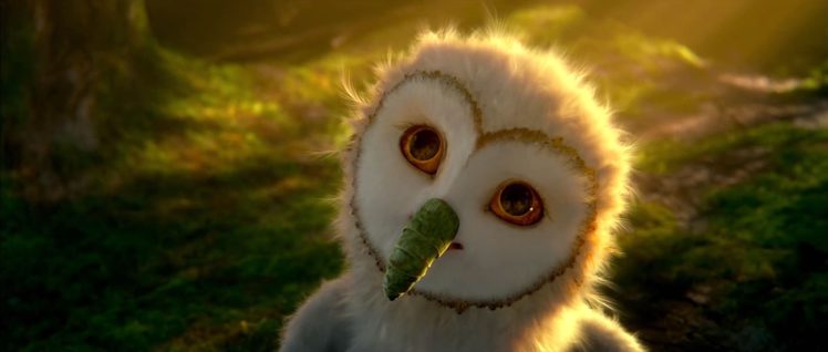 legend, Guardians, Owls, Gahoole, Animation, Fantasy, Adventure, Family, Cartoon, Hoole, Owl,  48 HD Wallpaper Desktop Background