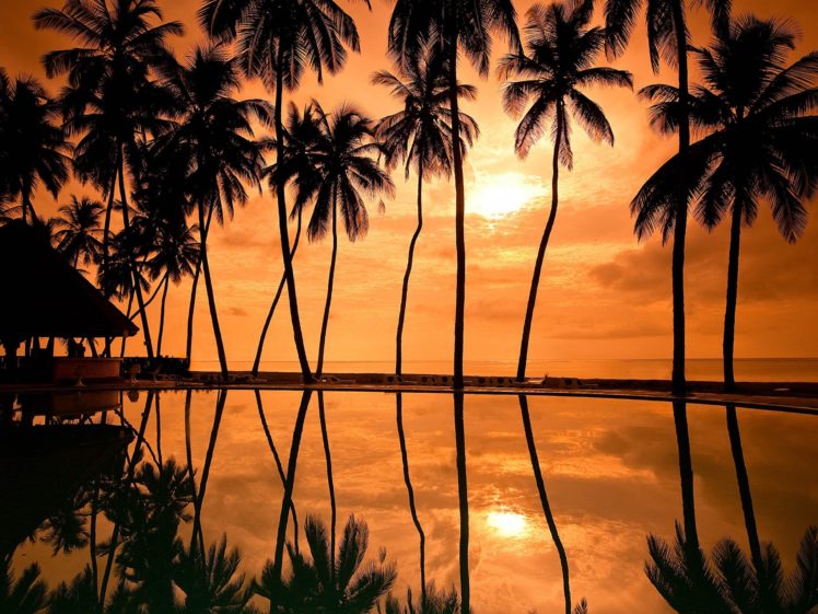 hawaii, Sunset HD Wallpaper Desktop Background