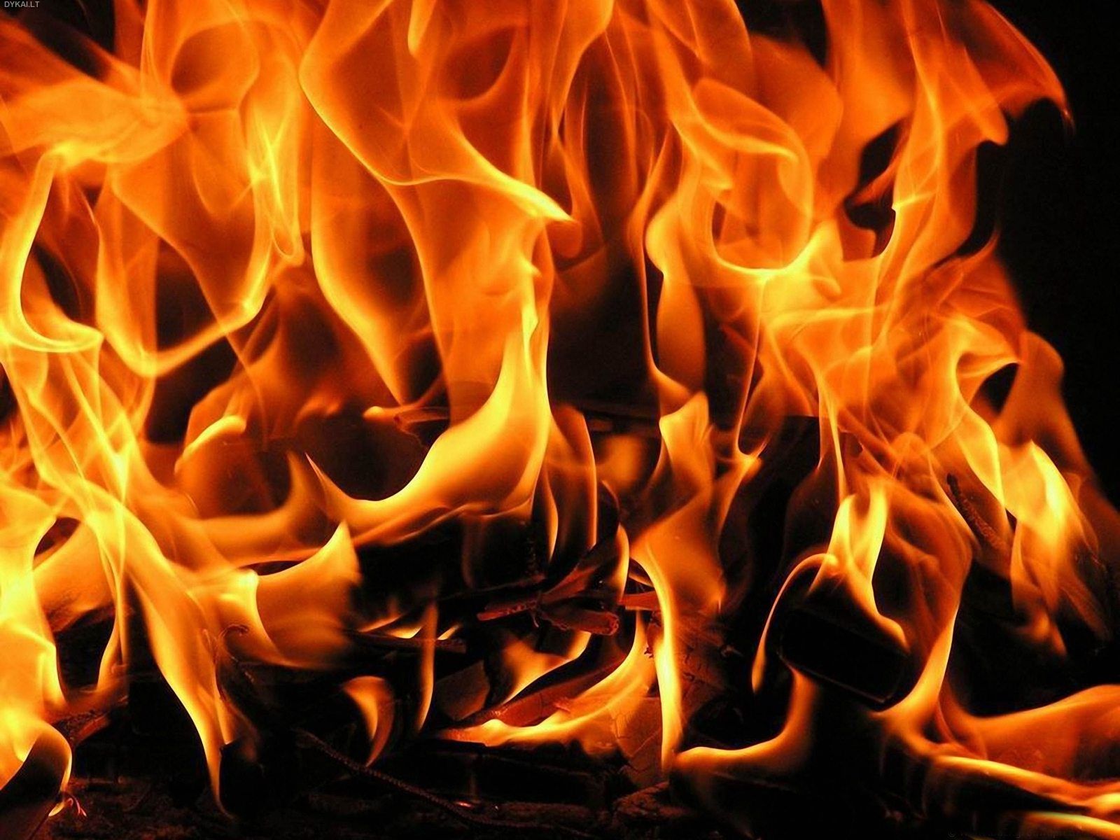 fire, Flames, Coals Wallpaper