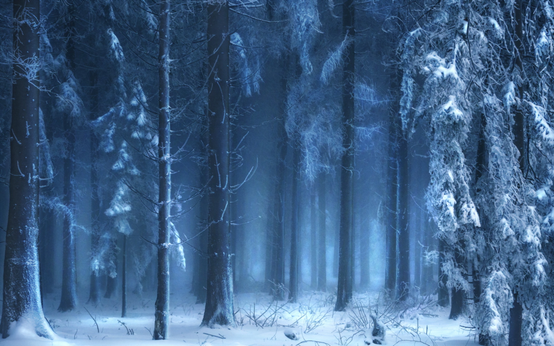 landscapes, Trees, Forest, Woods, Winter, Snow Wallpaper
