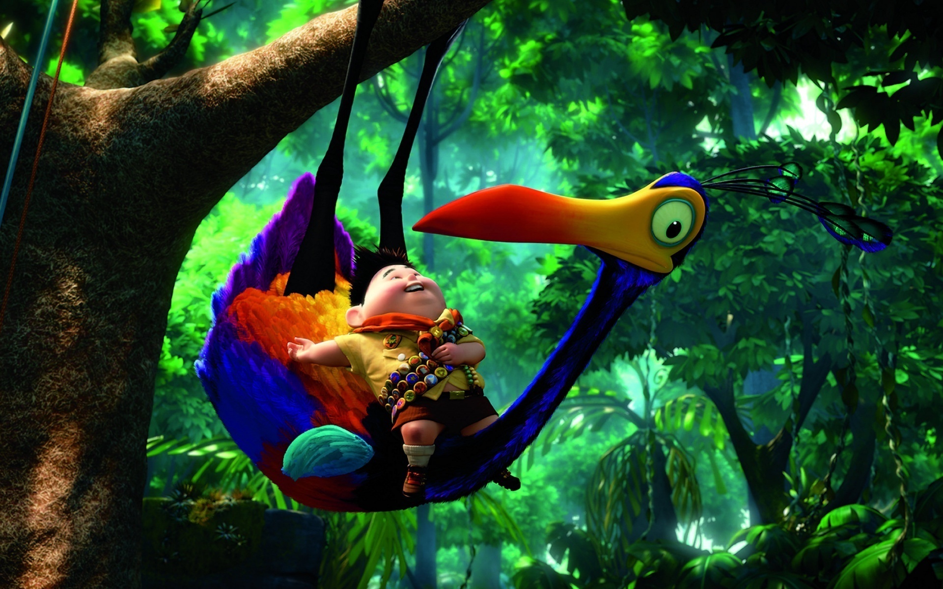 up, Movies, Animation, Birds, Parrot Wallpaper