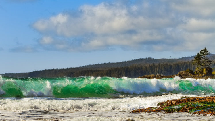 waves, Beaches HD Wallpaper Desktop Background