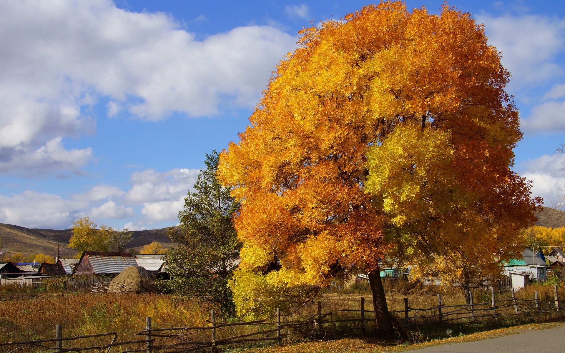 roads, Trees, Autumn, Fall, Rustic, Houses, Architecture, Sky, Clouds Wallpaper
