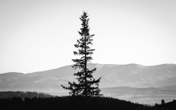 monochrome, Black, White, Landscapes, Mountains, Sky, Silhouette HD Wallpaper Desktop Background