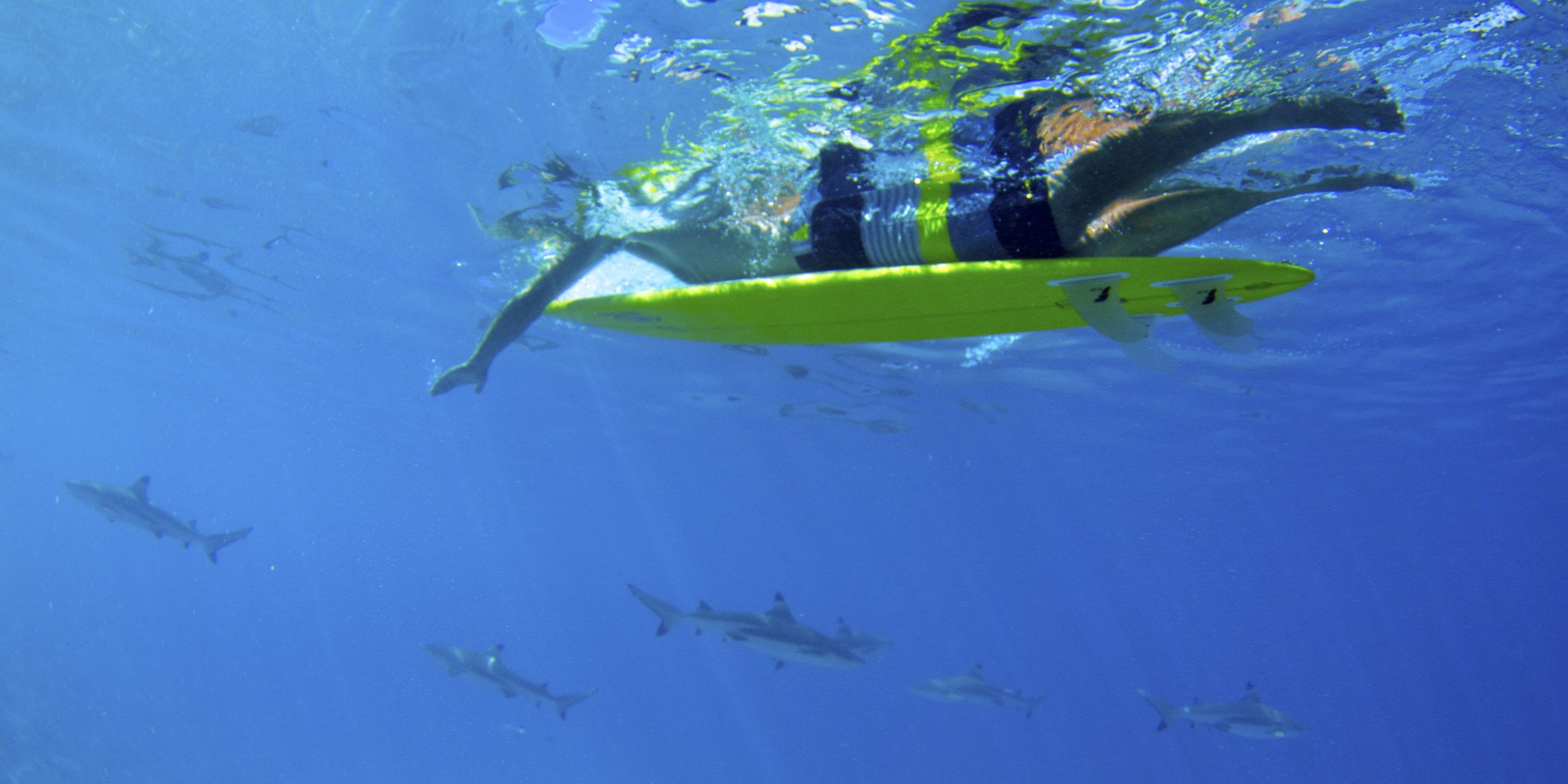 surfing, Surf, Ocean, Sea, Waves Wallpaper