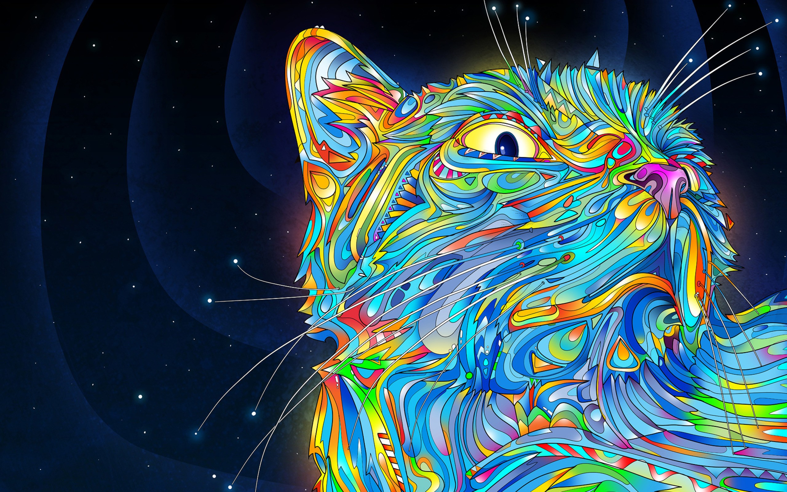 midnight, Cat, Abstract Wallpaper
