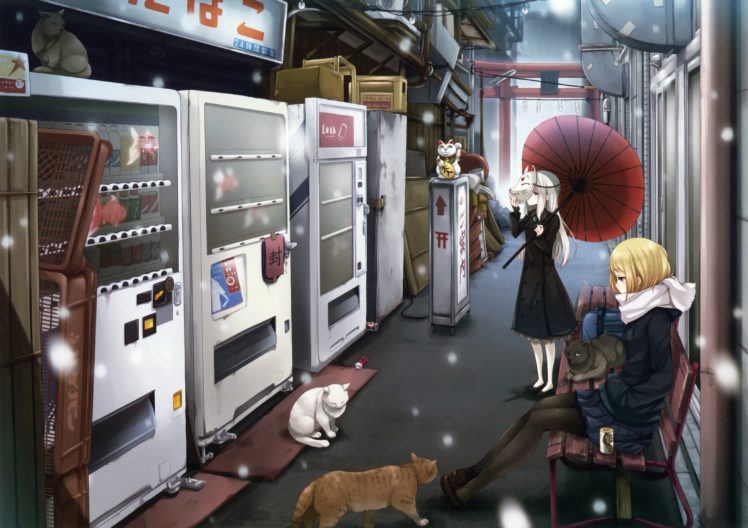 original, Animal, Ayakura, Juu, Cat, Mask, Scan, Scarf, Snow, Tagme HD Wallpaper Desktop Background