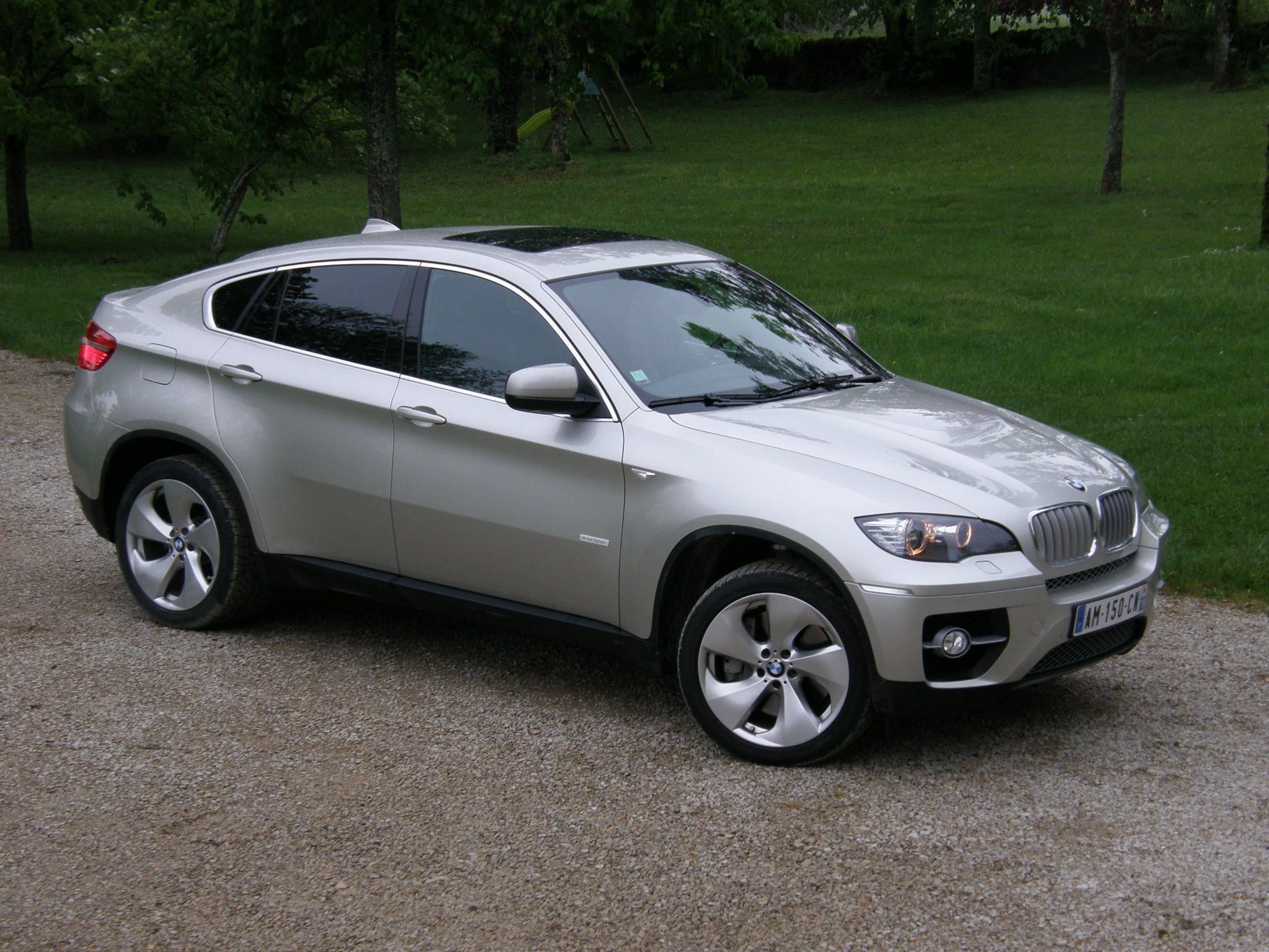 2010 bmw x6 activehybrid Wallpaper