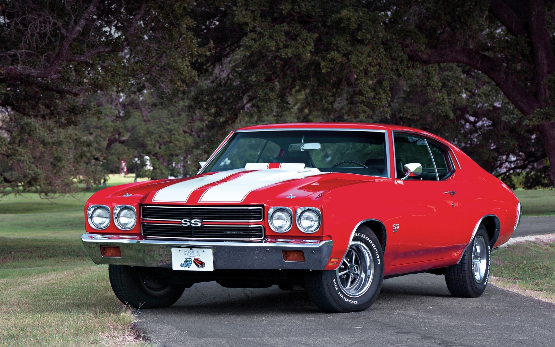 chevrolet, Chevelle, Ss, 454, Ls6, Muscle, Cars, Classic Wallpaper